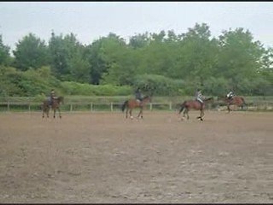 SDC14172