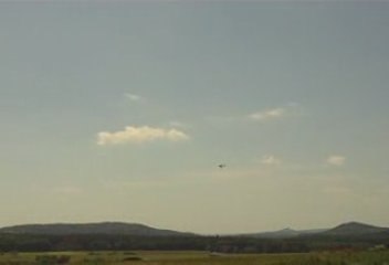 Yak 50