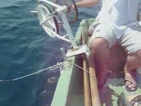 Antalya B.Liman derinsu avı 13 haziran 5