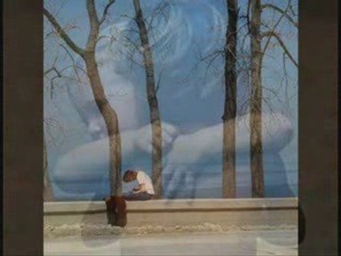 TÜLAY ÖZER - İkimiz Bir Fidanın Güller Açan Dalıyız