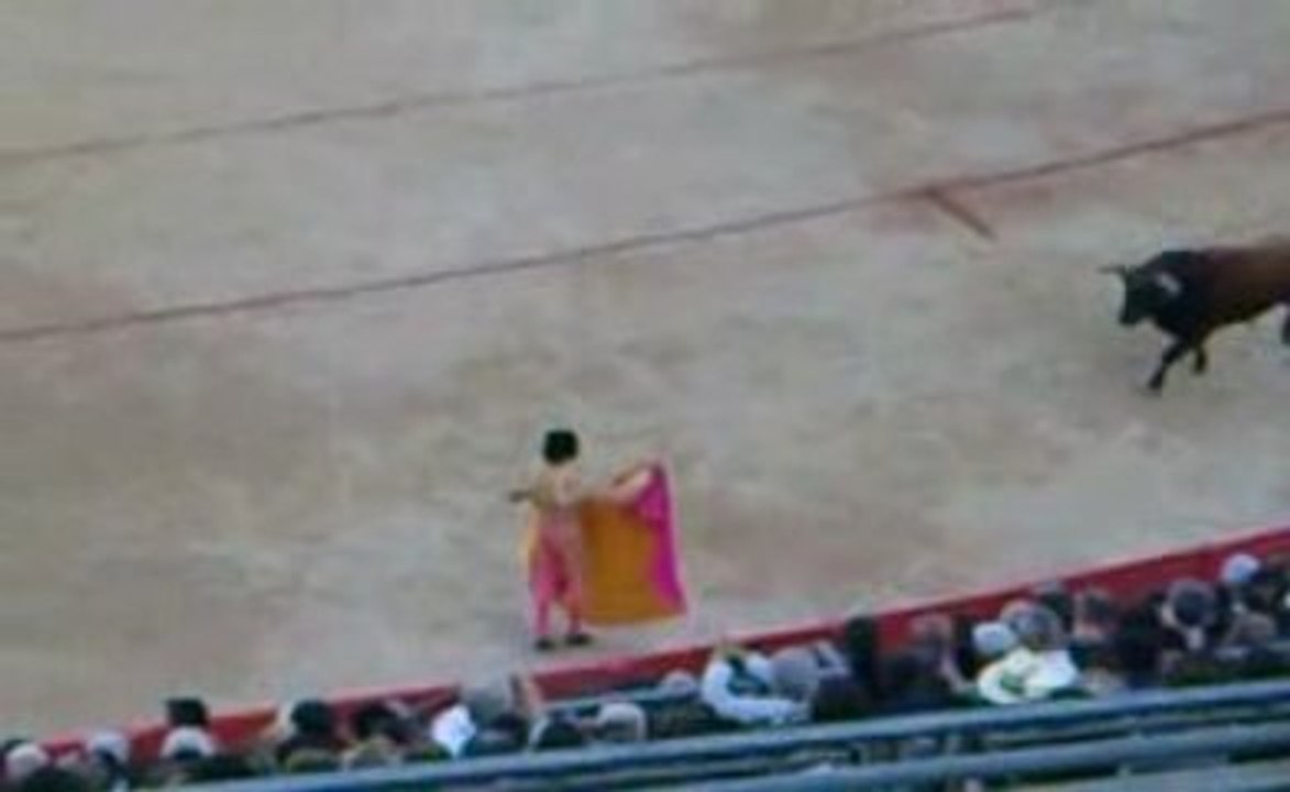 Sortie toro José Tomas