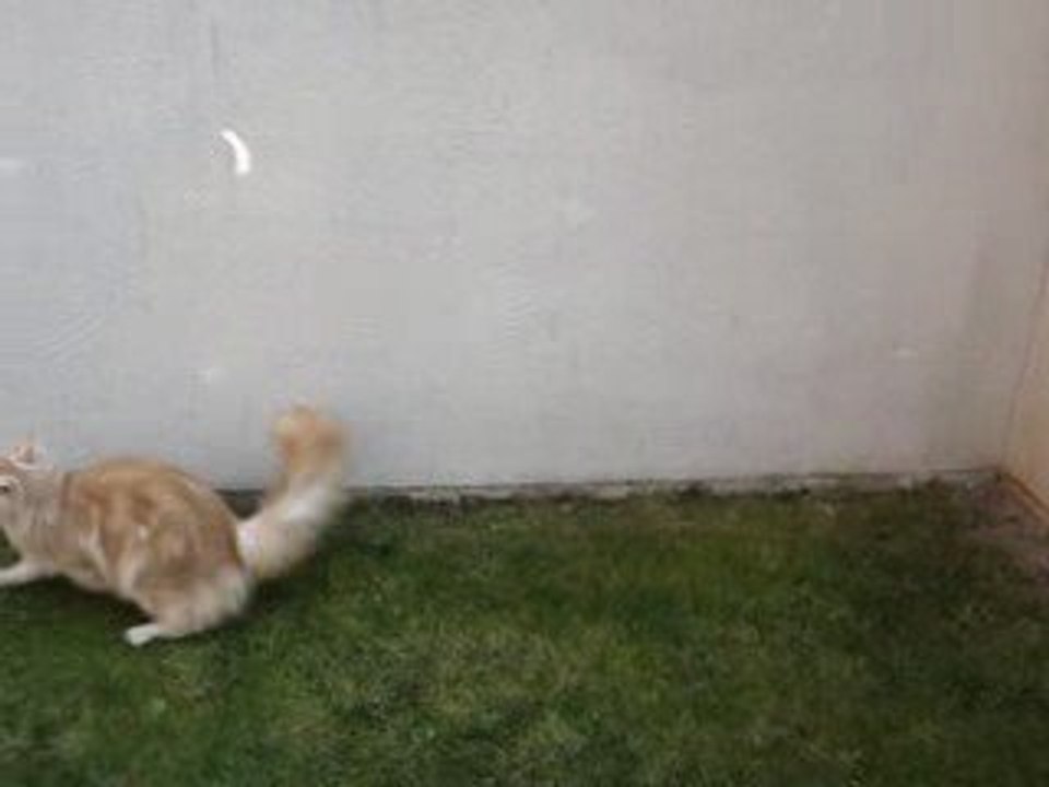 Reflets sur le mur