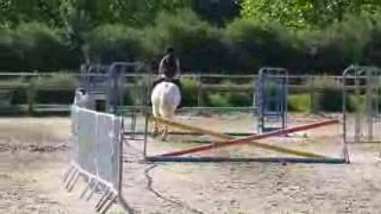 Dernier cours de saut a la cartouch avec p0ny ...