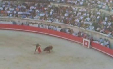 Daniel Luque 1 oreille