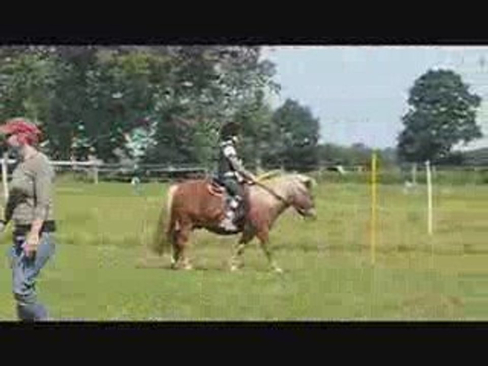 Mounted Games Reiterspiele