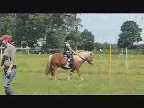 Mounted Games Reiterspiele