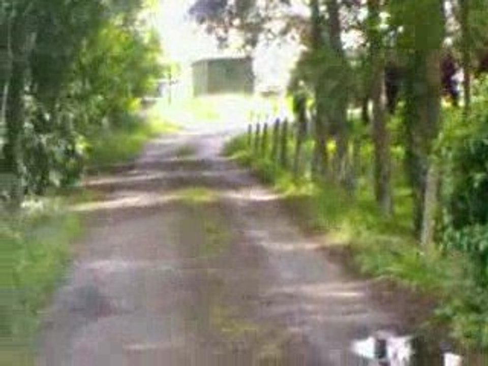 des petit saut en yamaha