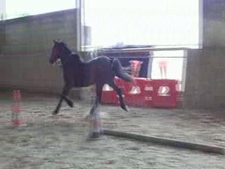 NYE Celebrations for a Special Lady ✨