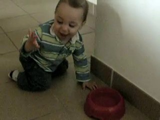 Esteban et la gamelle d'eau le 06 juin 2009 DSCN0500