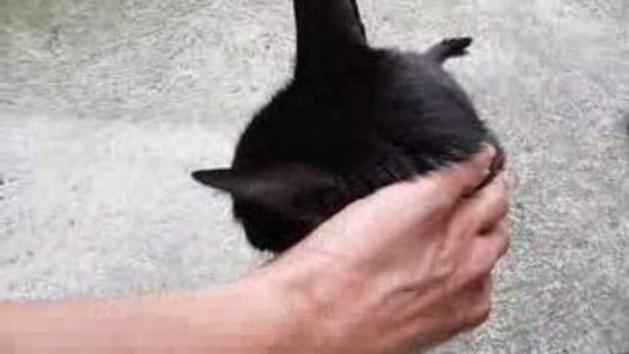 Un moment de tendresse