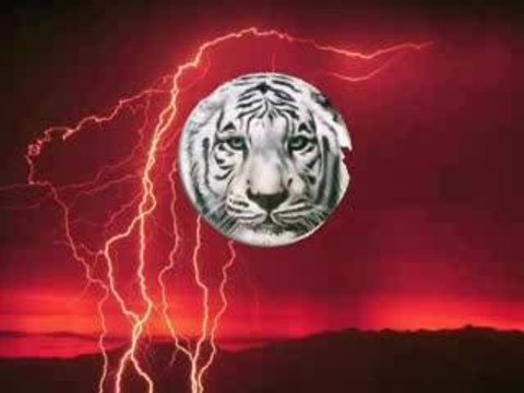 Papa AP feat LInda - Entre tu y yo