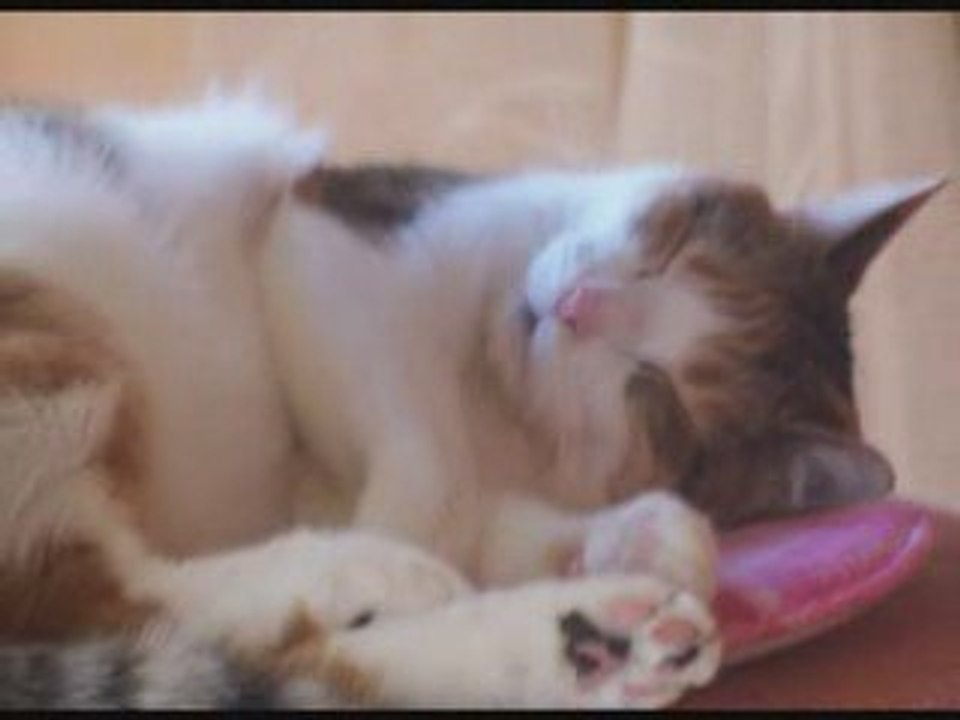 mimine 5 ans déja !!!