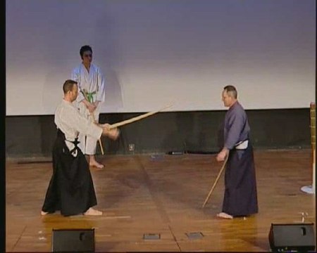 Anim'Est 2008 démonstration d'arts martiaux partie 1