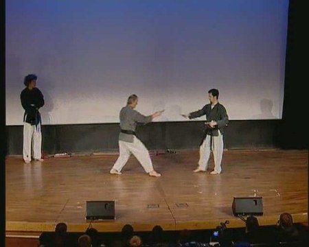Anim'Est 2008 démonstration d'arts martiaux partie 2