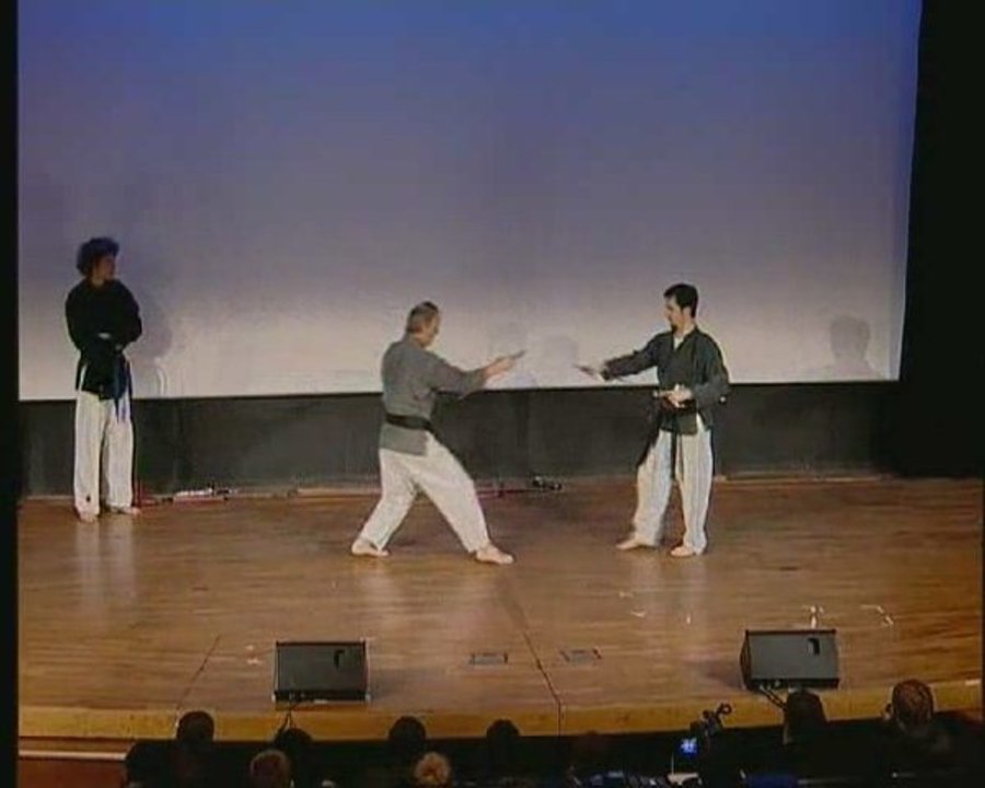 Anim'Est 2008 démonstration d'arts martiaux partie 2