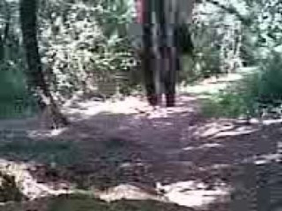 Saut Eric G.