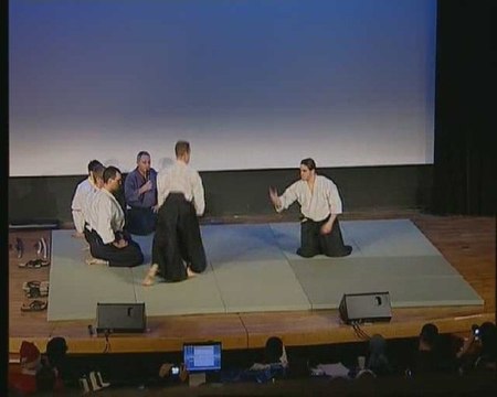 Anim'Est 2008 Démonstration d'arts martiaux partie 3