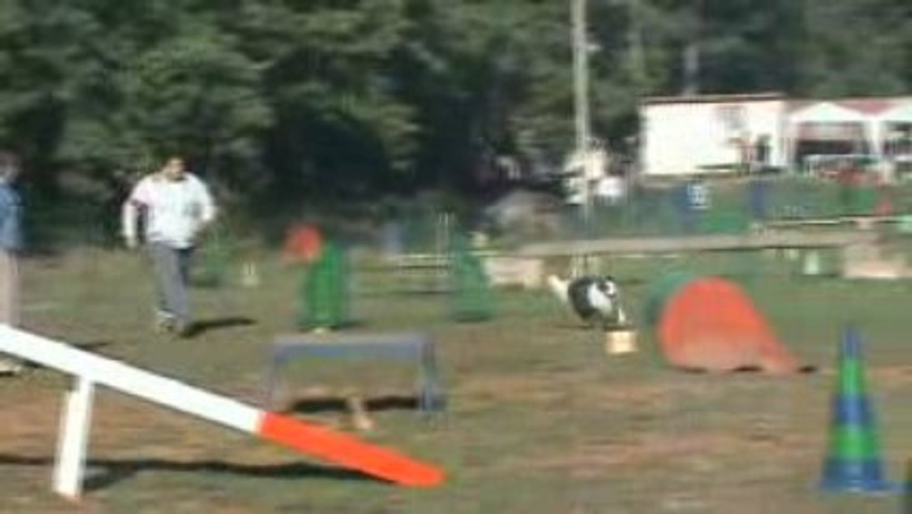 Clip xavier et tempo roquefure 26 10 2008