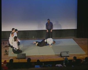 Anim'Est 2008 Démonstration d'arts martiaux partie 5