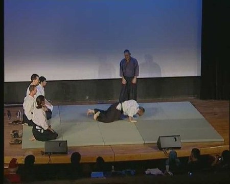 Anim'Est 2008 Démonstration d'arts martiaux partie 5