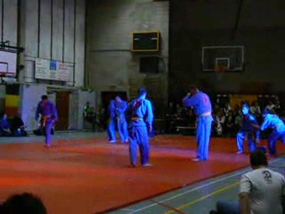 Demo ciseaux vovinam à Liège, Belgique