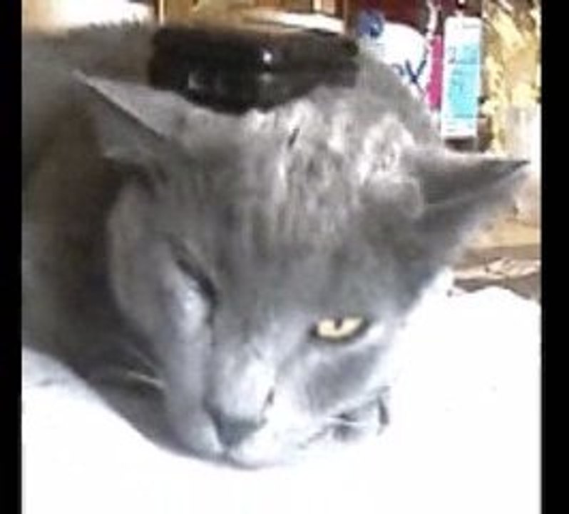 Titi, roro et ponpon