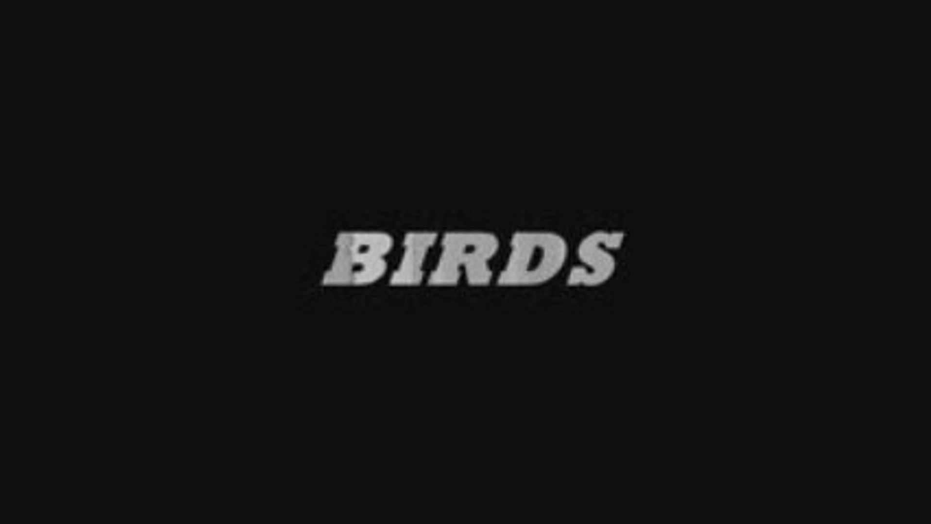 ⁣BIRDS