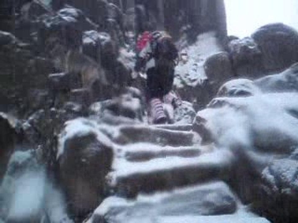 Sokolik