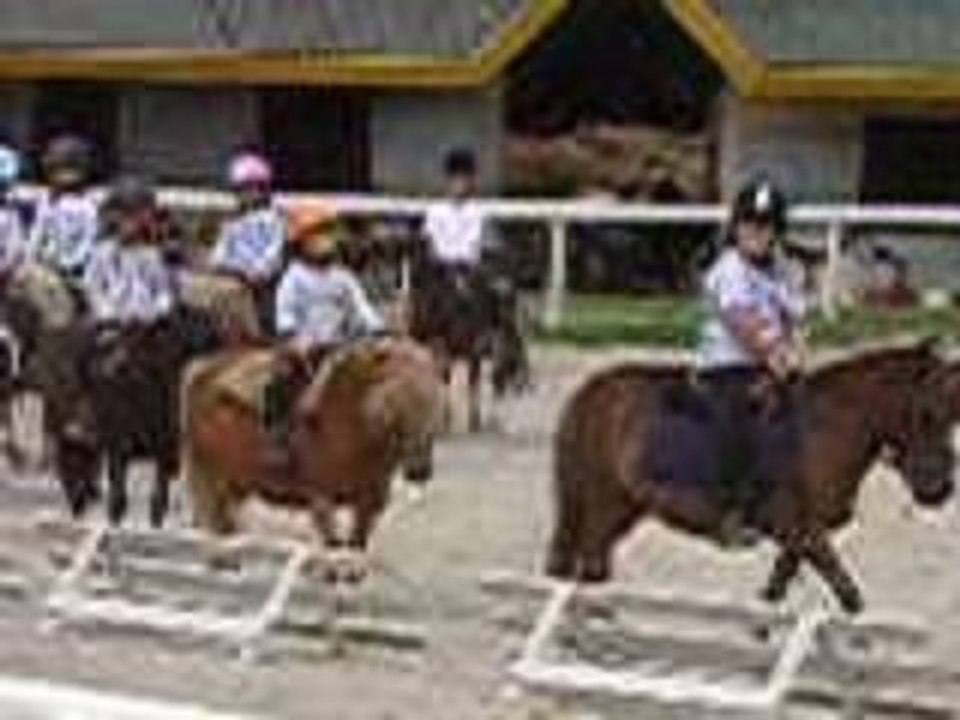 Ucpa etbzh poney2009