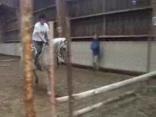 Oxer n°2 : Mercredi 10 Juin 2009