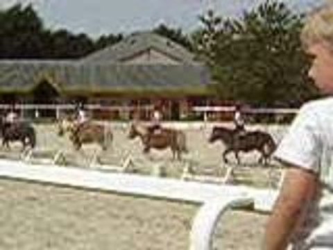 Shetland Morganne ucpa fete du club