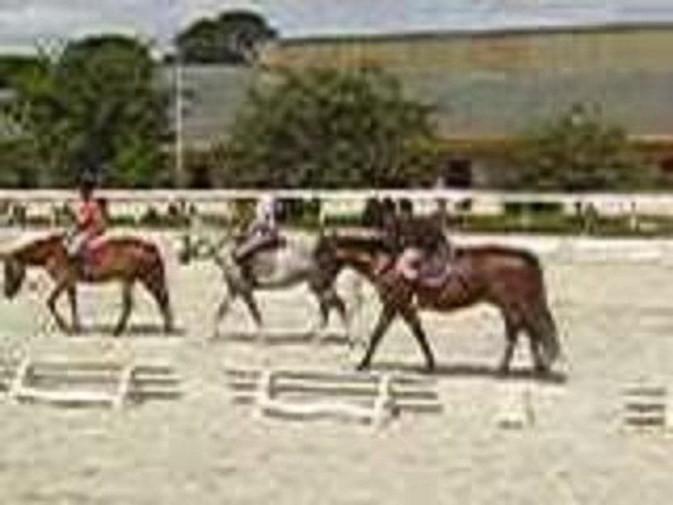 Cow boy et indien the end