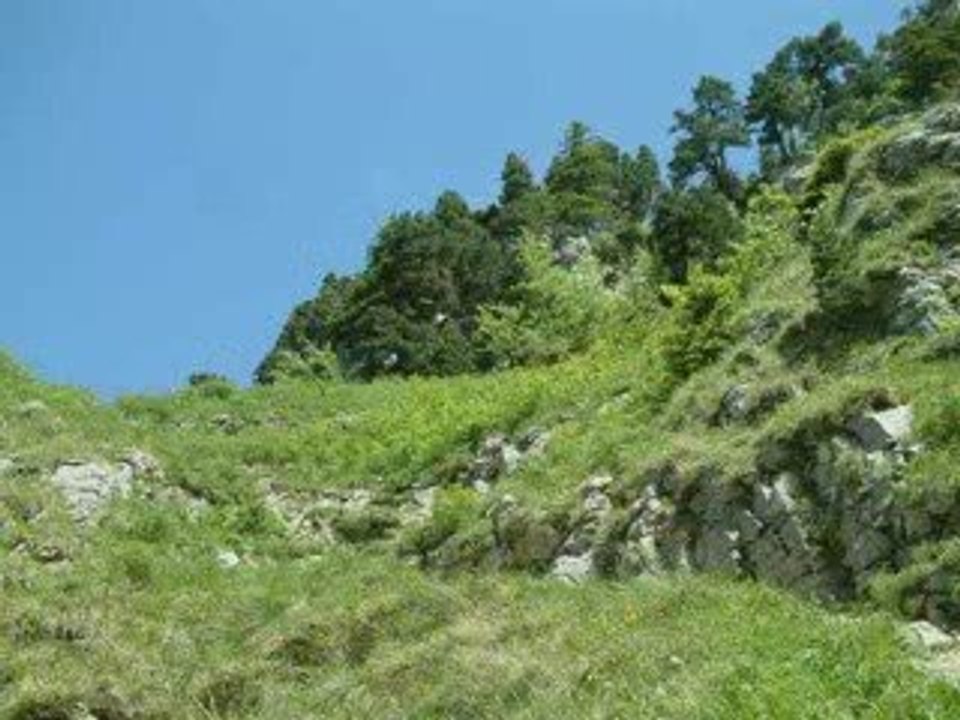 Parmelan en haute-savoie