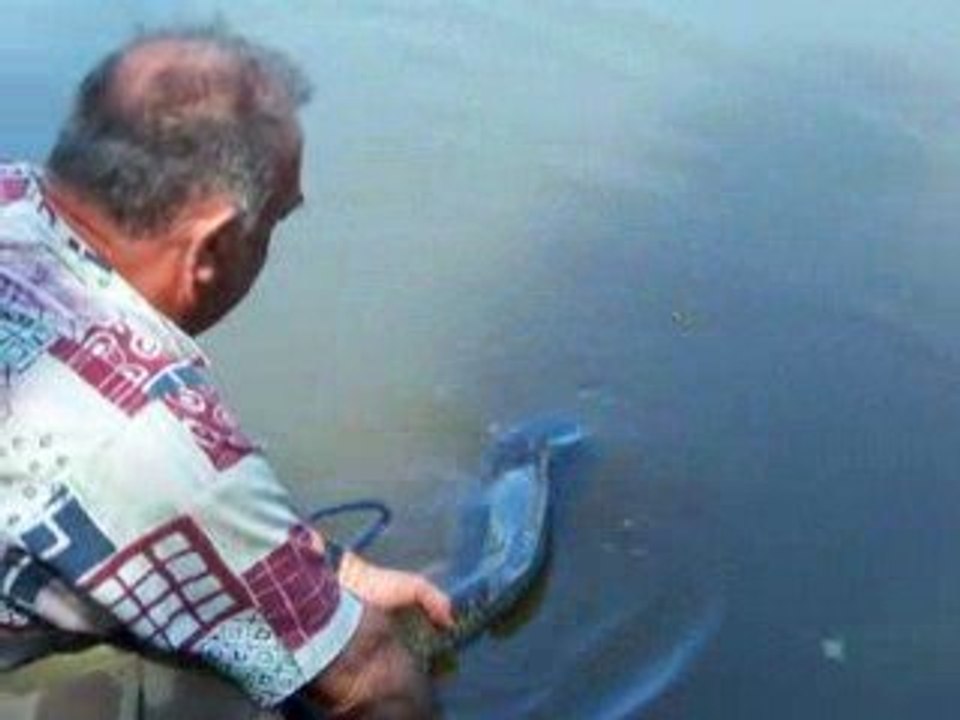 Alain de no-kill-carp'24