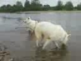 Balade en bord de Loire