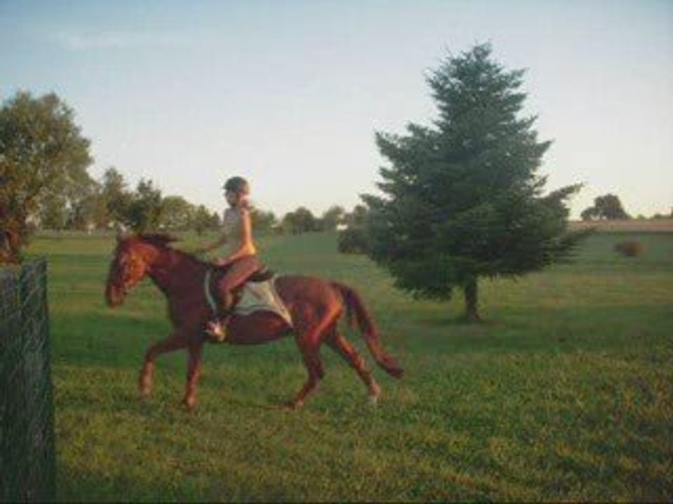 Sur herbe 13 juin