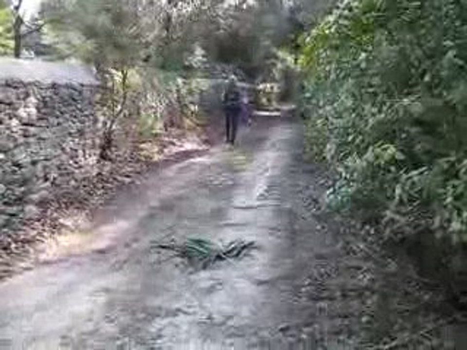 aliceB court dans la campagne