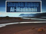 Cheikh Rabee' Al-Madkhaly ( Question autour du Tawhid )