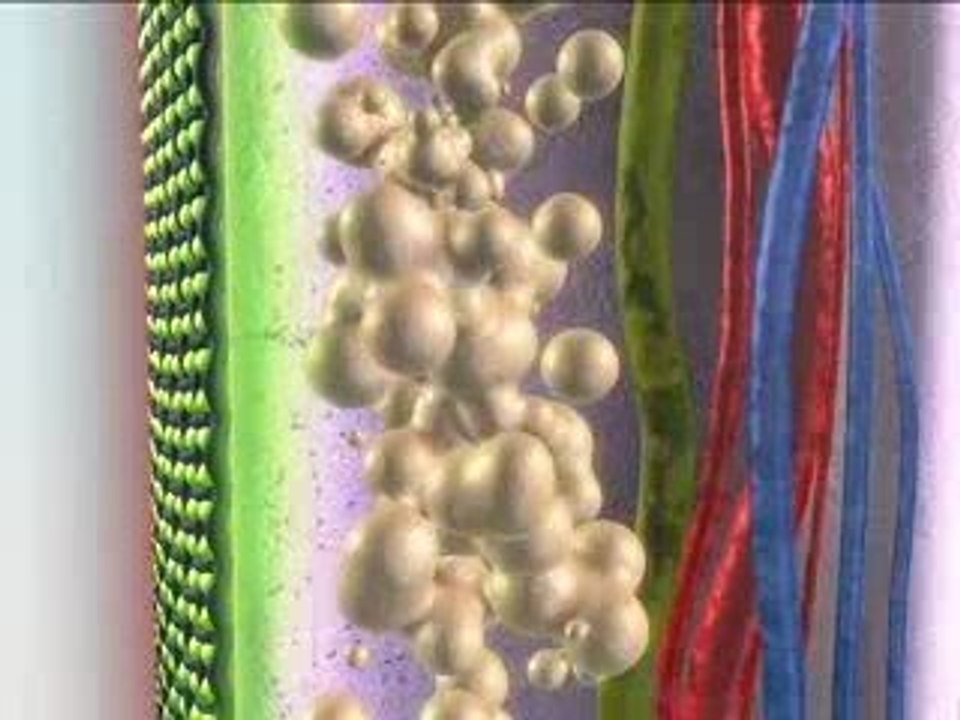 Cosmetotextile Orescience, leader mondial du textile minceur