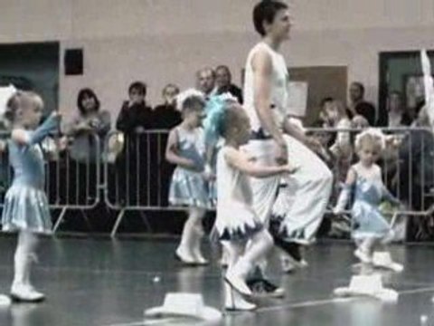 majorettes dauphines sallaumines