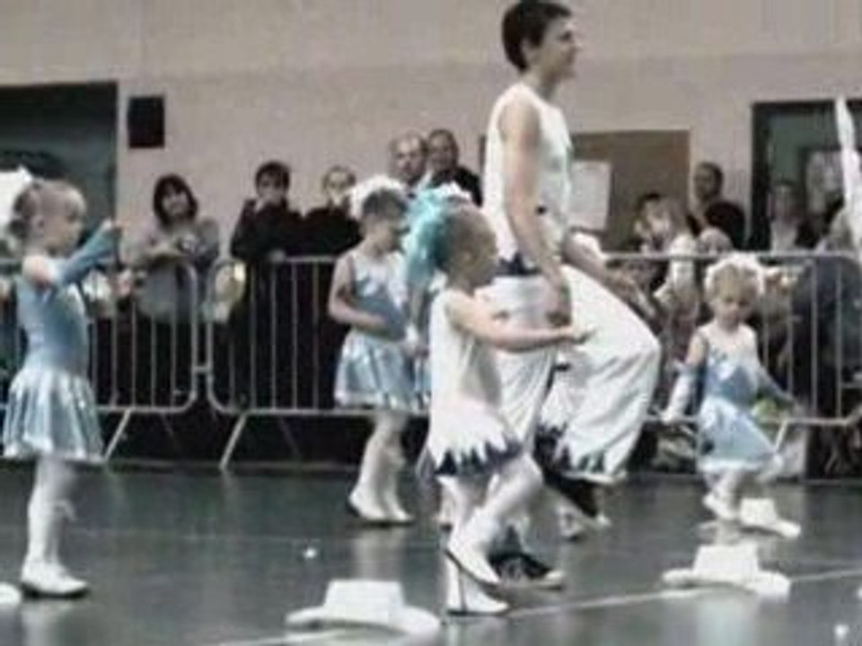 majorettes dauphines sallaumines