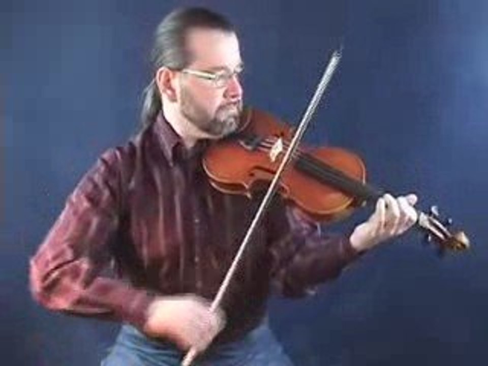 Violin Lessons for Beginners - How to play Dann...