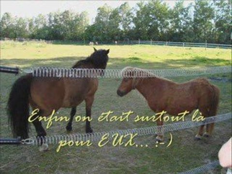Journées Portes Ouvertes Crinières Yser mai 2009