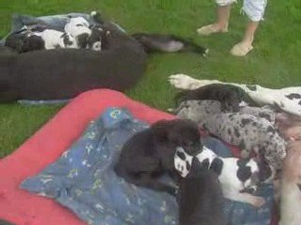 29 JOURS 1er JOUR en extérieur repas