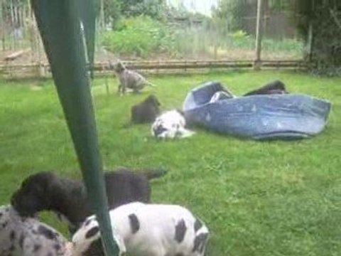 29 JOURS 1er JOUR en extérieur (5) Eden intrépide