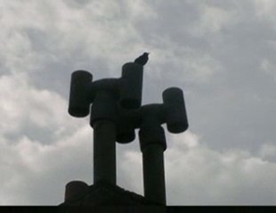Somain-Grive du matin/thrush song