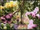 20090615 Ariel Lin: Garden of Happiness Music Video