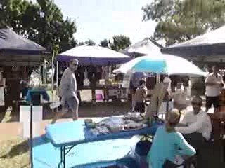 30-05-2009 Musician on Airlie Beach Saturday Markets