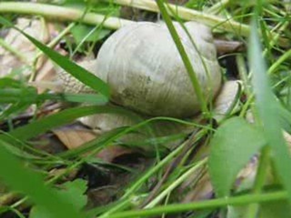 61butyrajdowe01_0005