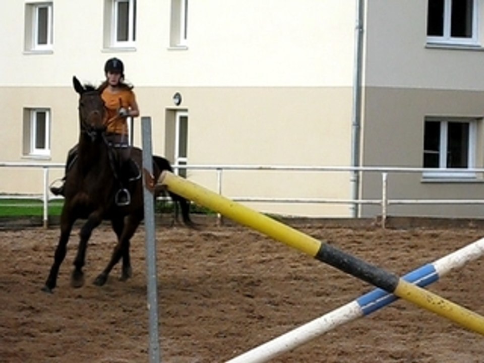 Eagle et Amandinne ma chéwwii !!<3<3<3
